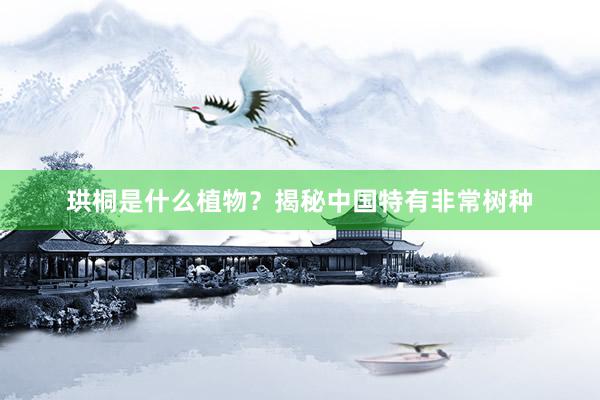 珙桐是什么植物？揭秘中国特有非常树种