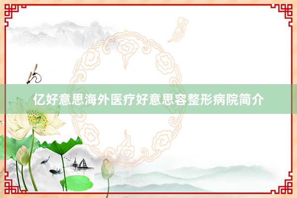 亿好意思海外医疗好意思容整形病院简介