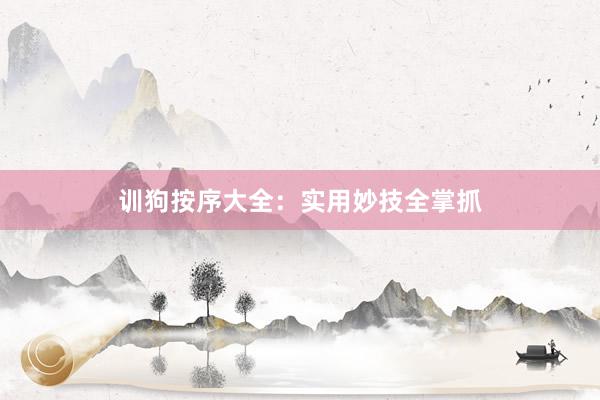 训狗按序大全：实用妙技全掌抓