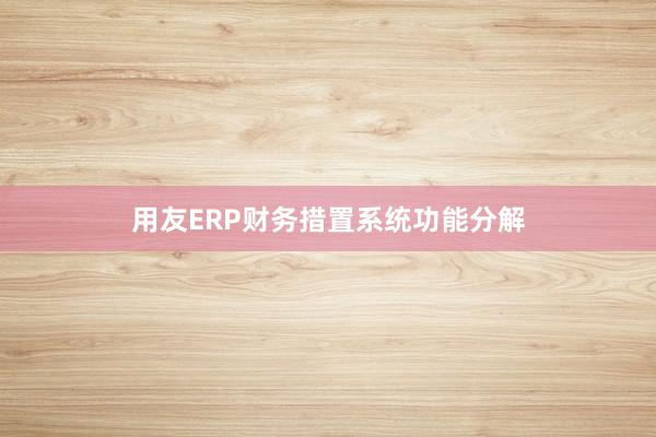 用友ERP财务措置系统功能分解